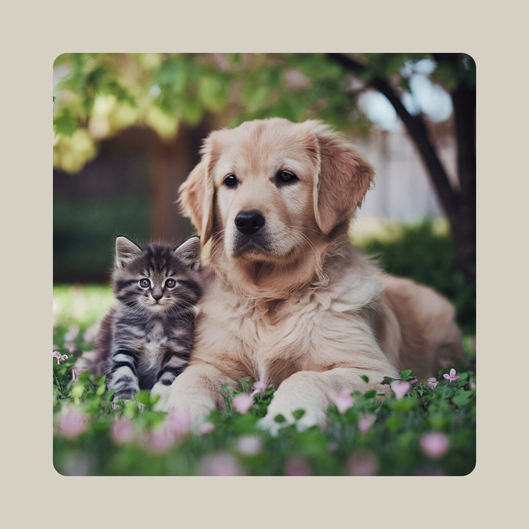 Katze und Hund liegend im Garten