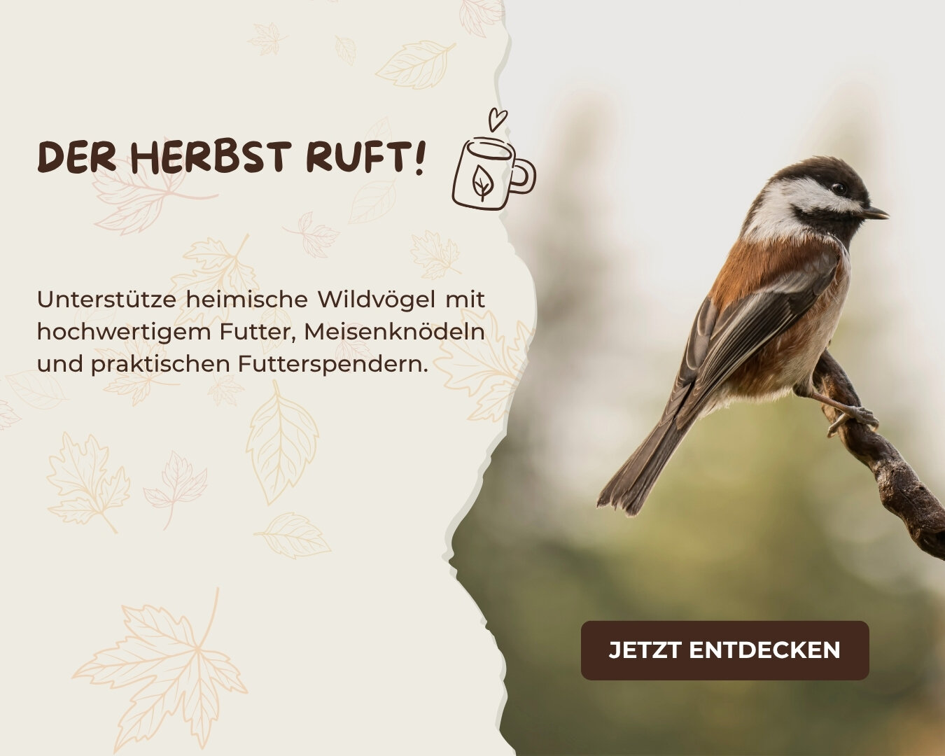Herbstliche Gartenszene mit Wildvögeln