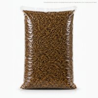 Mehlwürmer getrocknet 5 kg – 100% natürlich, ohne Zusatzstoffe