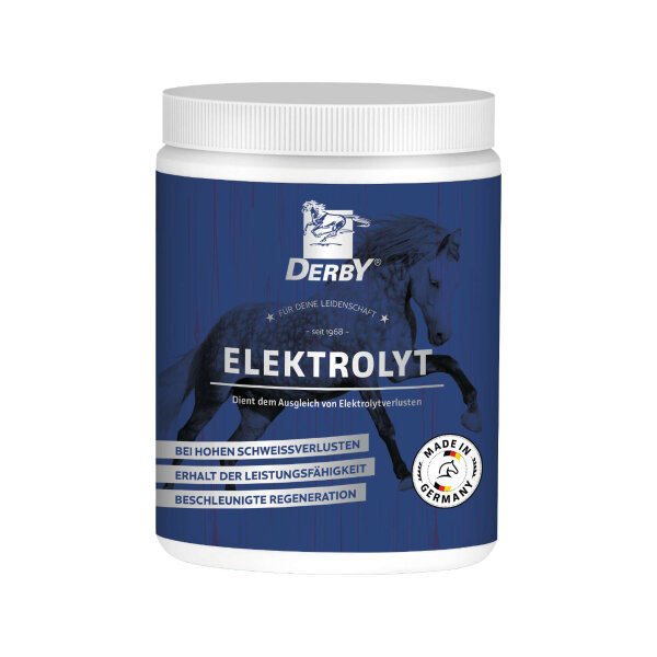 DERBY Elektrolyt 1 kg – Diätfuttermittel für Pferde bei Elektrolytverlust