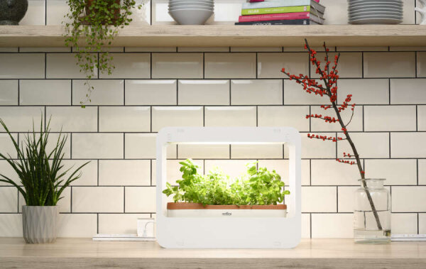 ROMBERG Mini-Garten mit LED-Beleuchtung