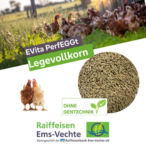 EVita PerfEGGt Legevollkorn 7kg, Futterpellets für Geflügel Alleinfutter ohne Gentechnik