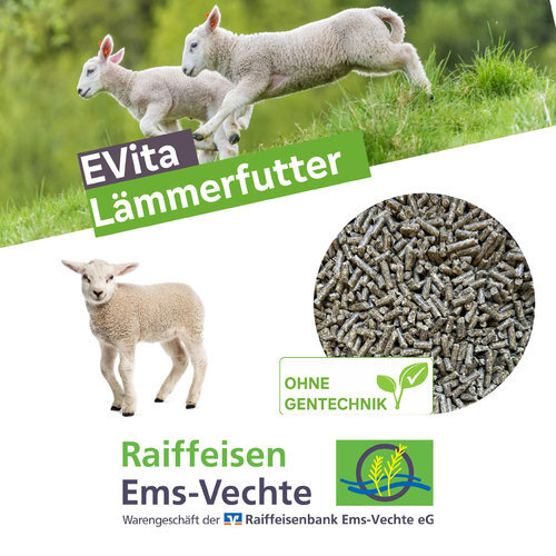 EVita Lämmerfutter Ergänzungsfutter für Lämmer Schaffutter ohne Gentechnik 20 kg