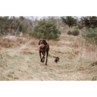 HUNTER Hundespielzeug Schleuderball INARI – Pastellrot