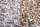 Splitt Mediterran 1000 kg Big Bag 8-12 mm