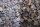 Zierkies Flachkorn 500 kg Big Bag 8-16 mm