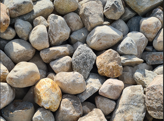 Zierkies Jütlandkiesel 1 kg 200-500 mm