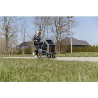 TRIXIE Jogger-Umbausatz für Fahrrad-Anhänger mit 360°-Front-Rad | Größe L