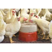 VILOFOSS Pickstein extra hart 50 x 10 kg | Pickschale zur Hühnerbeschäftigung