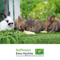 EVita Kaninchenmüsli 36 x 20 kg – Ergänzungsfutter ohne Gentechnik für Kaninchen