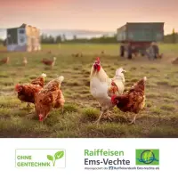 EVita PerfEGGt Geflügel Körnerfutter 36 x 20kg – Ergänzungsfutter ohne Gentechnik