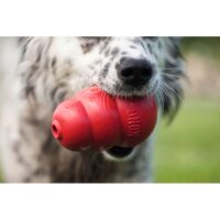 KONG Hundespielzeug „Classic“ Größe M