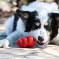 KONG Hundespielzeug „Classic“ Größe M