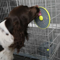 EBI Dreh- und Leckball – Multifunktionales Hundespielzeug für Beschäftigung und langsames Fressen