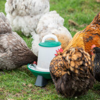 OLBA Geflügelfutterautomat 6 kg | Flexibel und robust für Stall und Küken