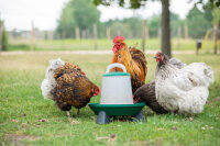 OLBA Geflügelfutterautomat 6 kg | Flexibel und robust für Stall und Küken