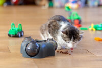 HUNTER Intelligentes Hunde- und Katzenspielzeug Kem – Spaß & Training in Einem