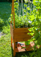 DOBAR Hochbeet Magic Kubus mit Rankgitter – ergonomisches Pflanzbeet aus Holz