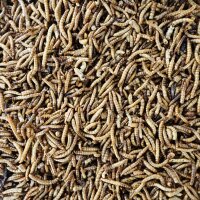 Getrocknete Mehlwürmer im Beutel 1 kg Raiffeisen Ems-Vechte