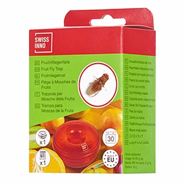 SWISSINNO Fruchtfliegenfalle mit natürlichem Köder – hygienisch & giftfrei