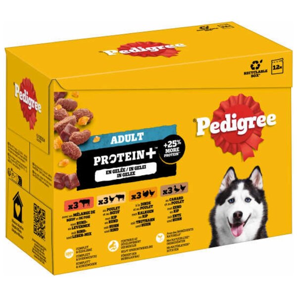 PEDIGREE Hunde-Nassfutter Adult Protein Plus in Gelee | 12 x 85 g Multipack