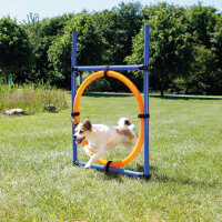 TRIXIE Fun Agility Ring