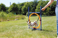 TRIXIE Fun Agility Ring