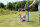 TRIXIE Fun Agility Ring