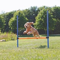 TRIXIE Höhenverstellbare Trainingsstange mit Schnellspannverschlüssen