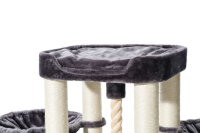 NOBBY Katzenbaum "Mugla"