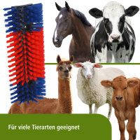 KERBL Halbrunde Kratzbürste
