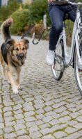 TRIXIE Biker-Set U-Form Fahrrad- und Joggingleine für Hunde M-XL