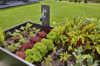 GARDENA Tropfbewässerung Set Hochbeet/Beet