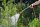 GARDENA Gießstab Classic 60 cm - frost­sicher & regulierbar | 18330‑32