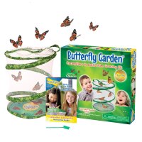 INSECT LORE Schmetterlingsgarten mit Distelfalterraupen...