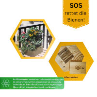 Bieneninsel Pflanzset mit Holzwabe