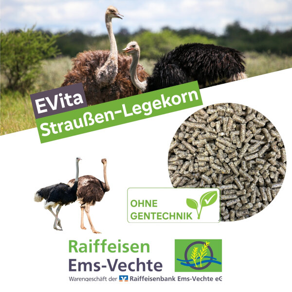 EVita Straußen Legekorn 20 kg