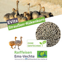 EVita Straußen Kükenkorn 20 kg