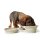 HUNTER Silikon Reisenapf "List" Beige 350/750 ml