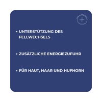 DERBY Leinöl – Einzelfuttermittel für Pferde