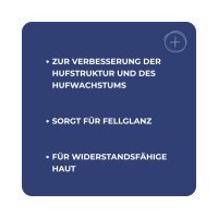 DERBY Biotin 700 g – für Hufe, Haut & Fell