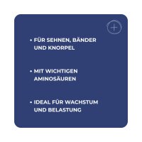 DERBY Gelat 700 g – zur Stärkung der Sehnen,...