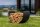 COOKKING Kaminholzregal Turyn 36x70x45cm