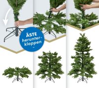 EVERGREEN Künstlicher Weihnachtsbaum Cedar Frost Kiefer, 114x114x210cm