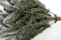 EVERGREEN Künstlicher Weihnachtsbaum Cedar Frost Kiefer, 114x114x210cm