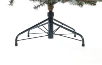 EVERGREEN Künstlicher Weihnachtsbaum Cedar Frost Kiefer, 114x114x210cm