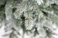 EVERGREEN Künstlicher Weihnachtsbaum Frost Fichte, 116x116x180cm