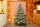 EVERGREEN Künstlicher Weihnachtsbaum Frost Fichte, 116x116x180cm