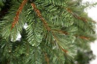 EVERGREEN Künstlicher Weihnachtsbaum Mesa Fichte, Inkl. LEDs, 180 cm