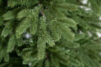 EVERGREEN Künstlicher Weihnachtsbaum Roswell Kiefer, 210 cm